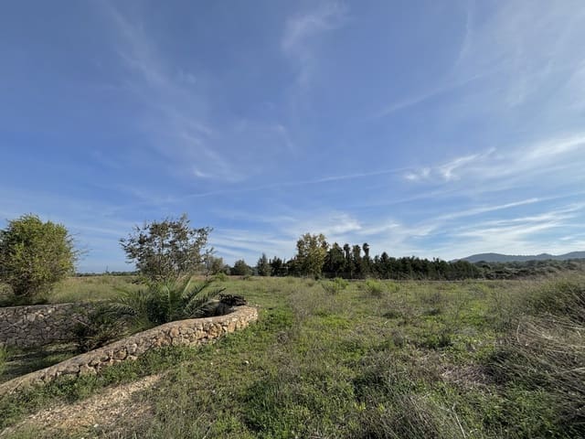 4 slaapkamer Villa te koop in Manacor - € 530.000 (Ref: 8553953)