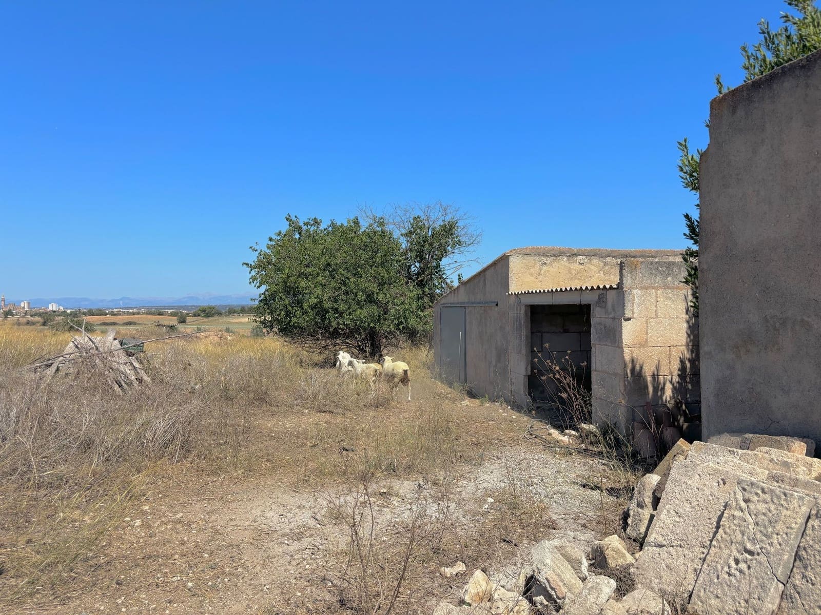 4 soveværelse Villa til salg i Manacor - € 530.000 (Ref: 8553953)