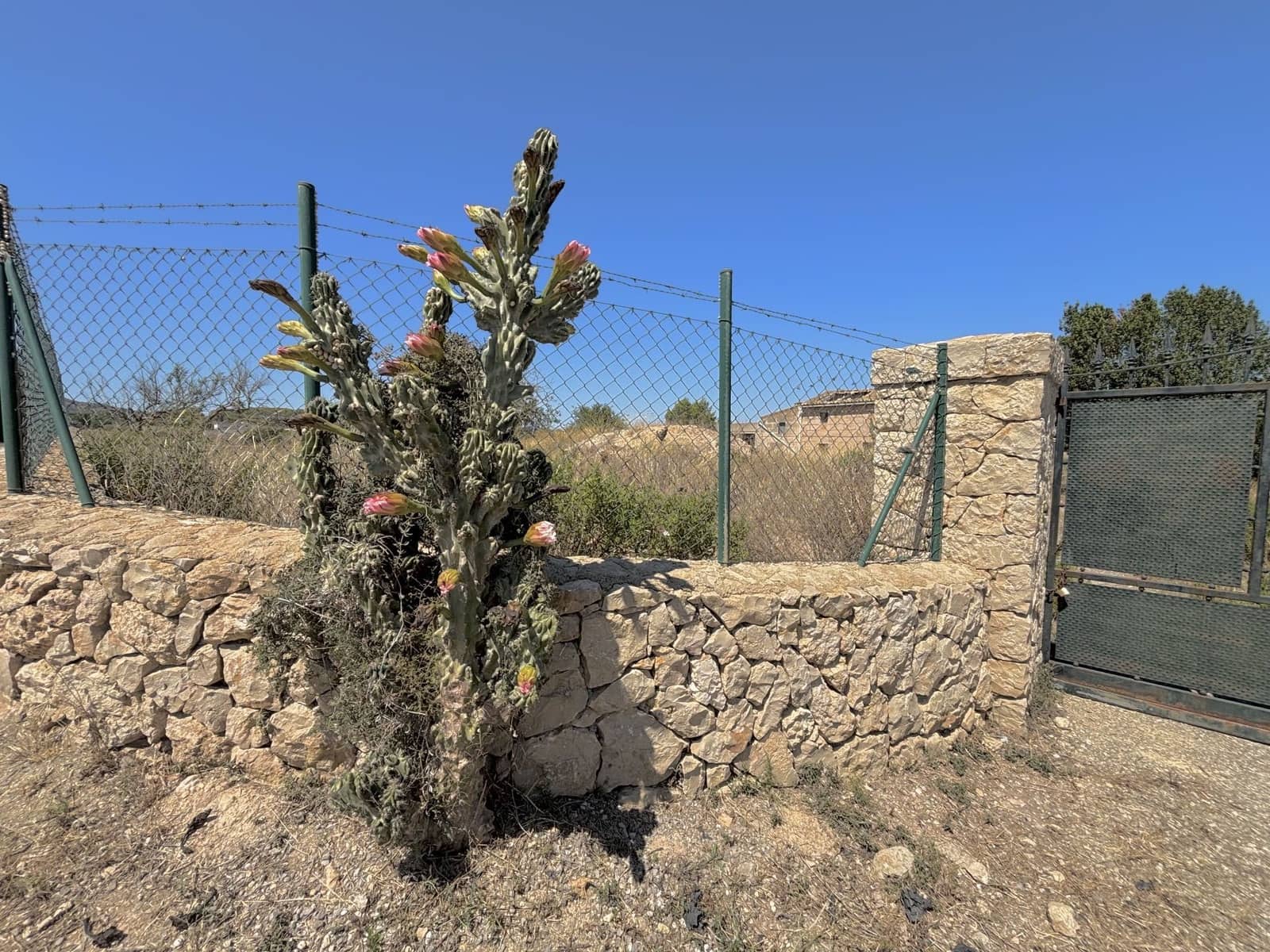 4 soveværelse Villa til salg i Manacor - € 530.000 (Ref: 8553953)