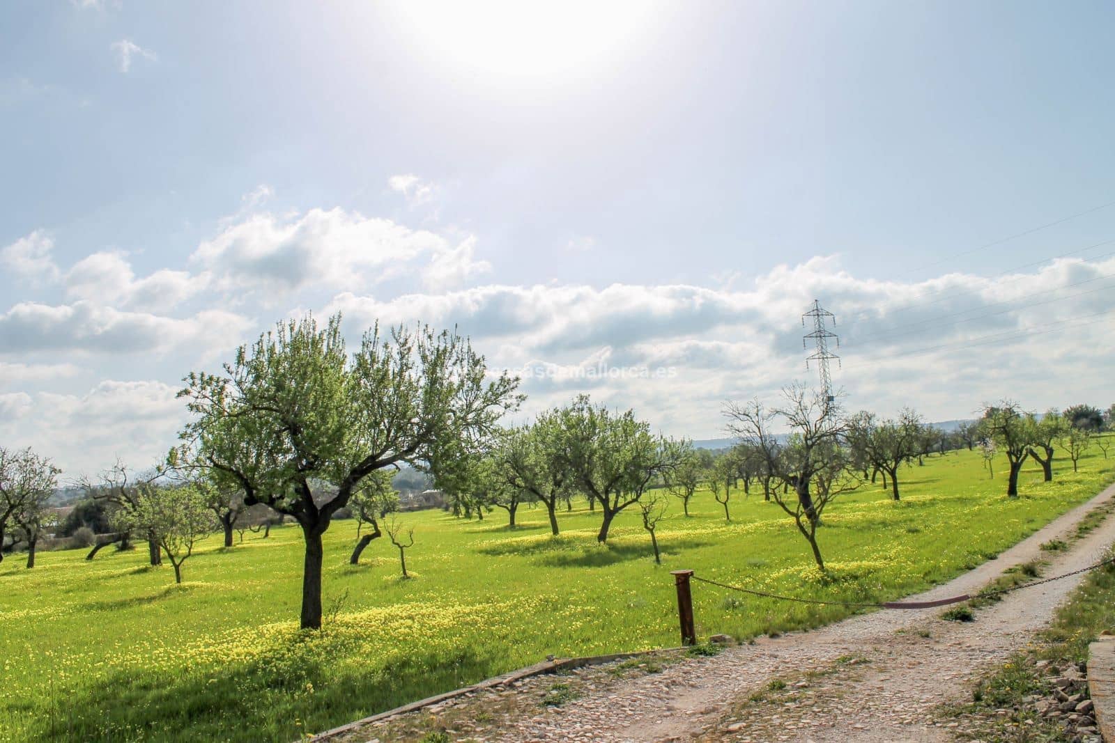 Finca/Landehus til salg i Palma de Mallorca med swimmingpool garage - € 2.500.000 (Ref: 8579396)