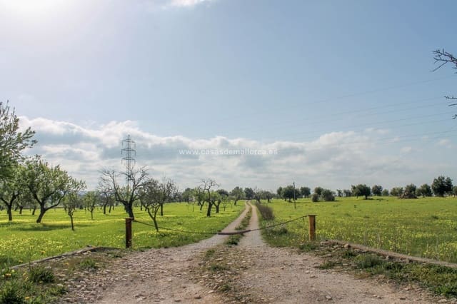 Finca/Landehus til salg i Palma de Mallorca med swimmingpool garage - € 2.500.000 (Ref: 8579396)