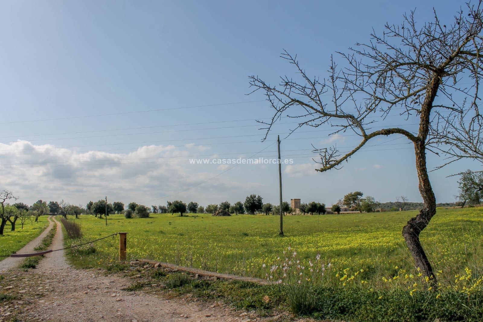 Finca/Landehus til salg i Palma de Mallorca med swimmingpool garage - € 2.500.000 (Ref: 8579396)