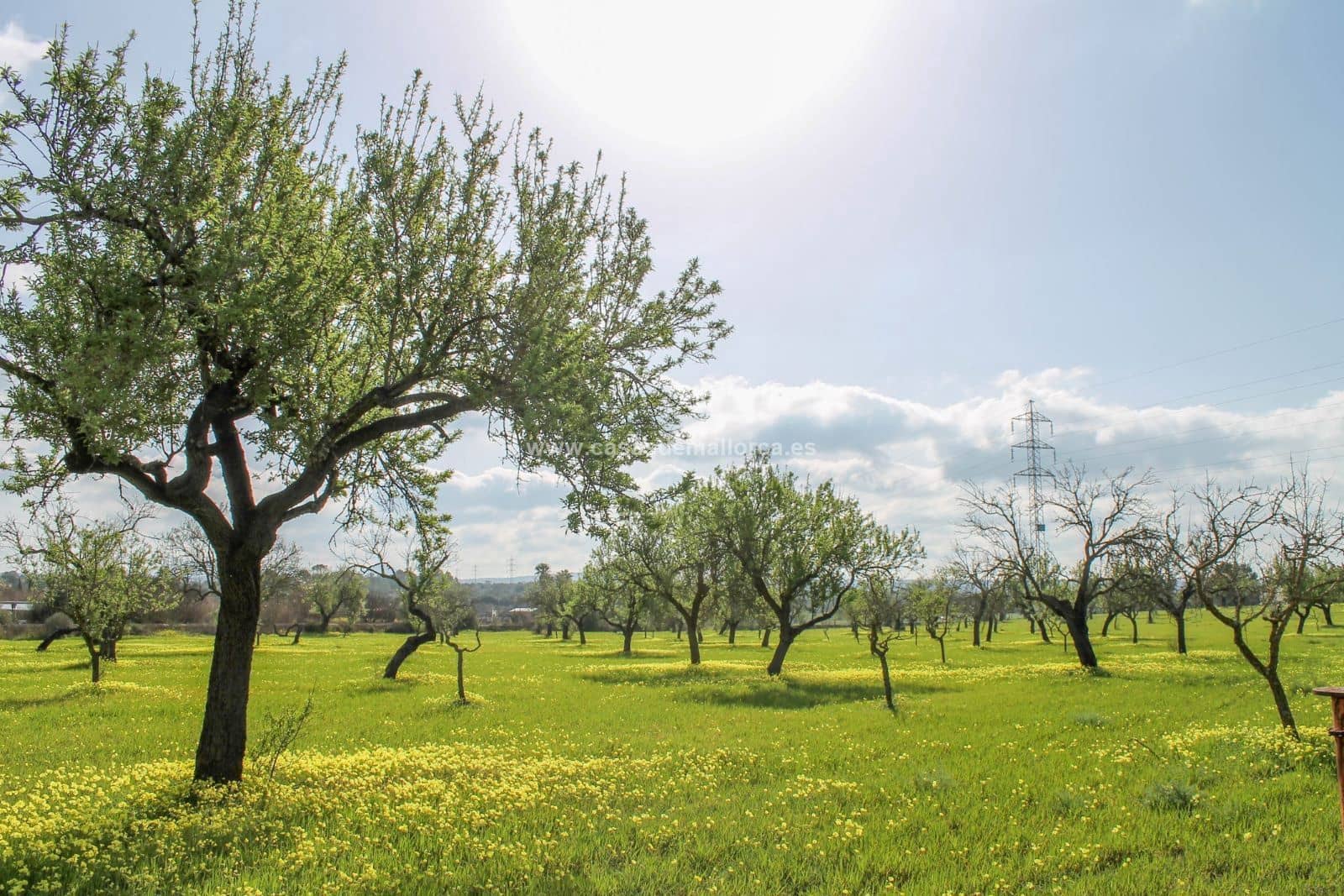 Finca/Landehus til salg i Palma de Mallorca med swimmingpool garage - € 2.500.000 (Ref: 8579396)