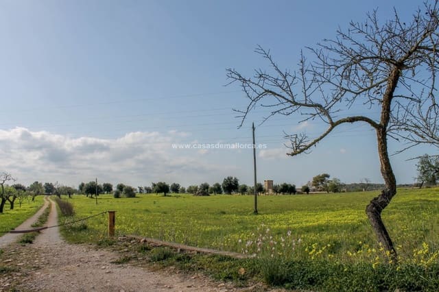 Finca/Landehus til salg i Palma de Mallorca med swimmingpool garage - € 2.500.000 (Ref: 8579396)