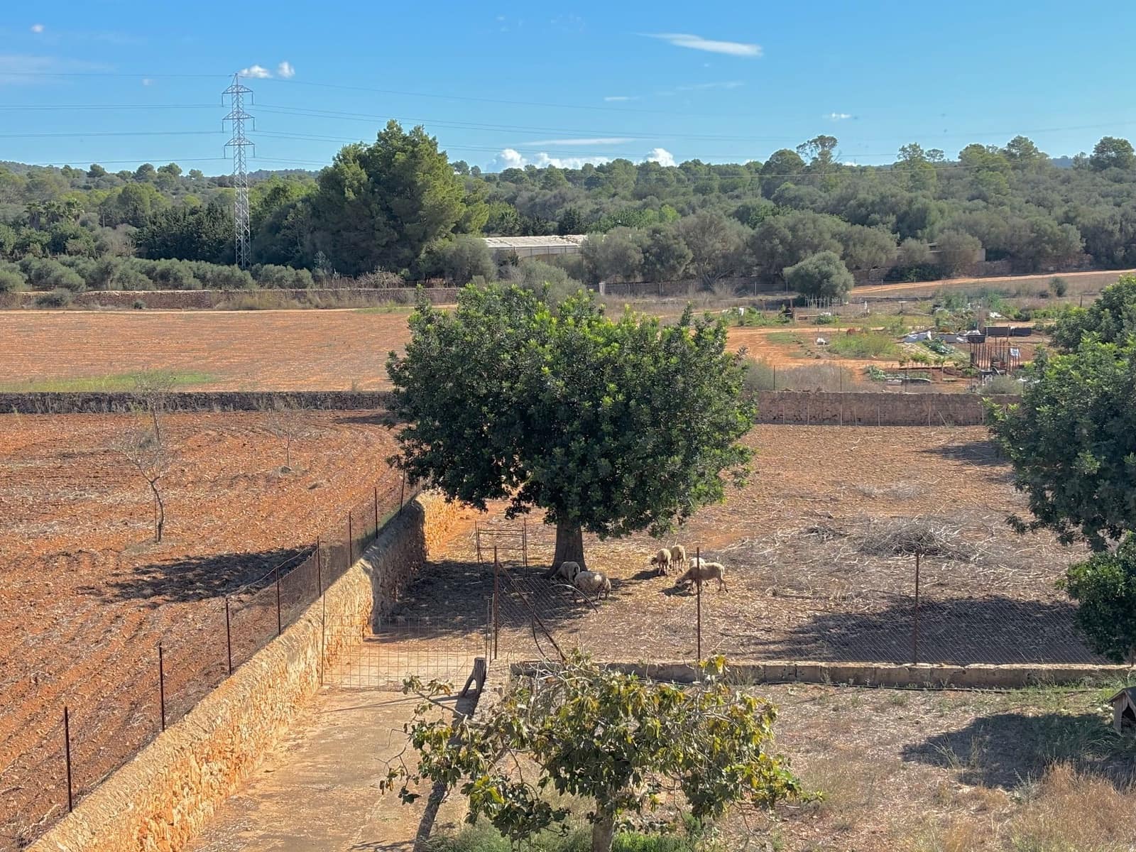 Finca/Landehus til salg i Palma de Mallorca med swimmingpool garage - € 2.500.000 (Ref: 8579396)