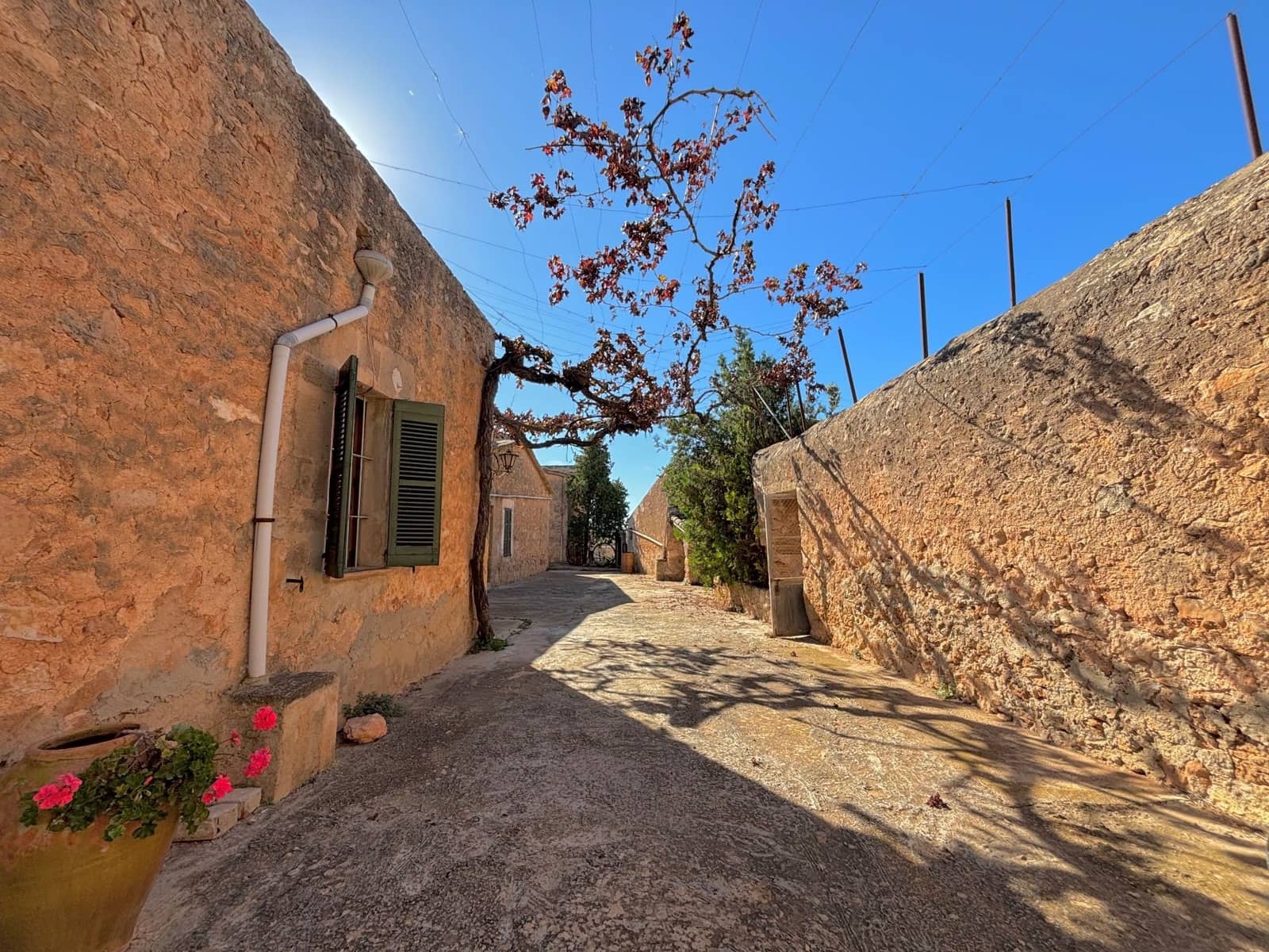 Finca/Landehus til salg i Palma de Mallorca med swimmingpool garage - € 2.500.000 (Ref: 8579396)