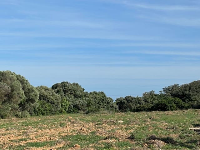 4 slaapkamer Villa te koop in Manacor - € 530.000 (Ref: 8689196)