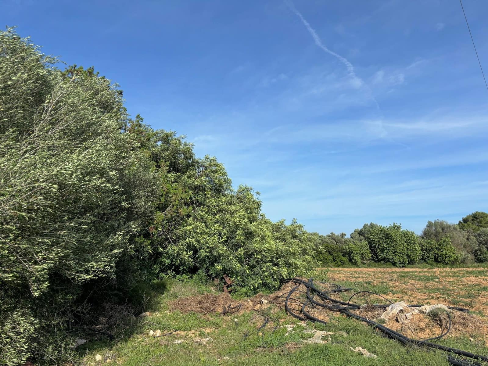 4 makuuhuone Huvila myytävänä paikassa Manacor - 530 000 € (Ref: 8689196)