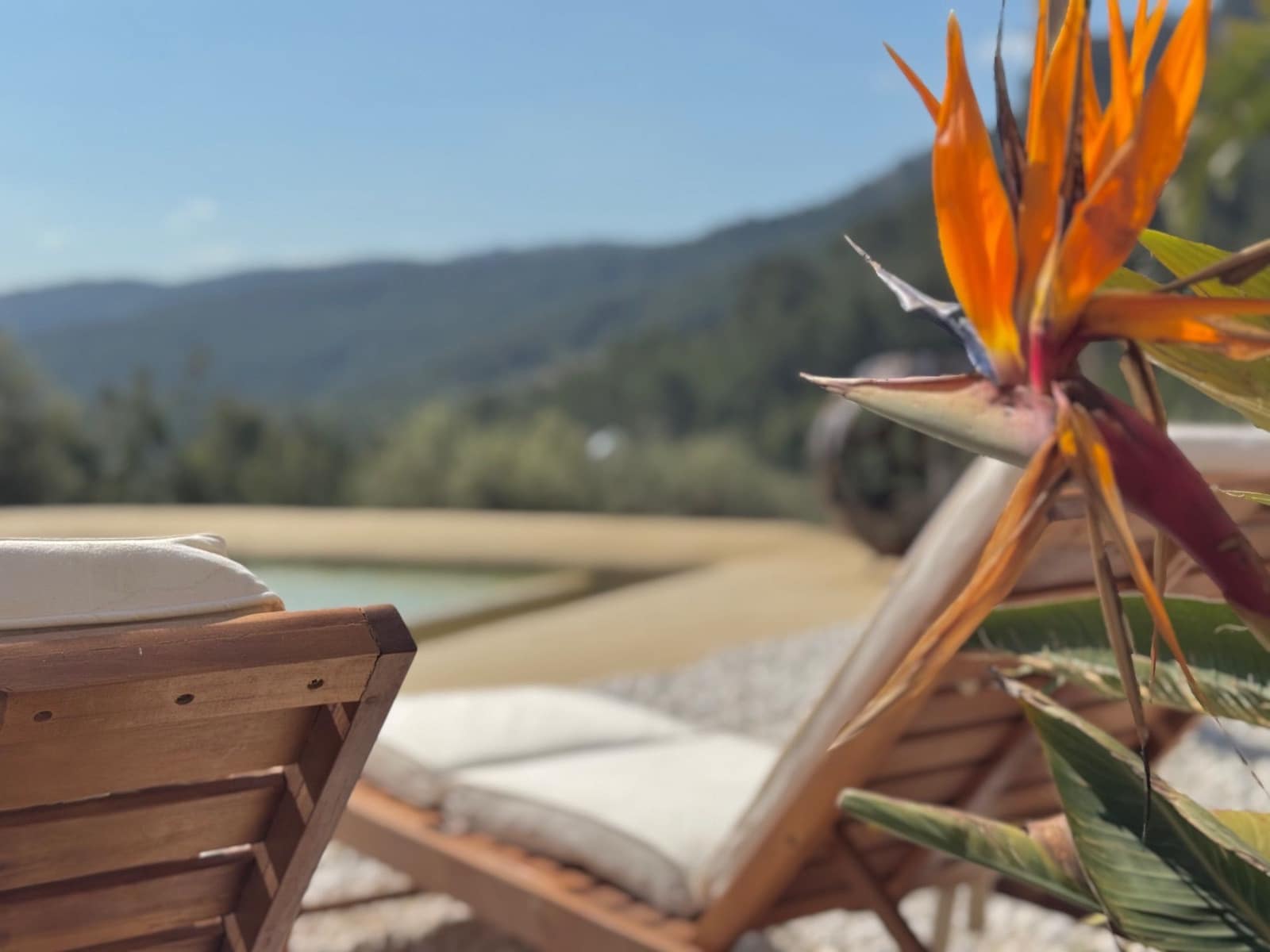 3 soveværelse Villa til salg i Puigpunyent med swimmingpool garage - € 1.850.000 (Ref: 8993576)