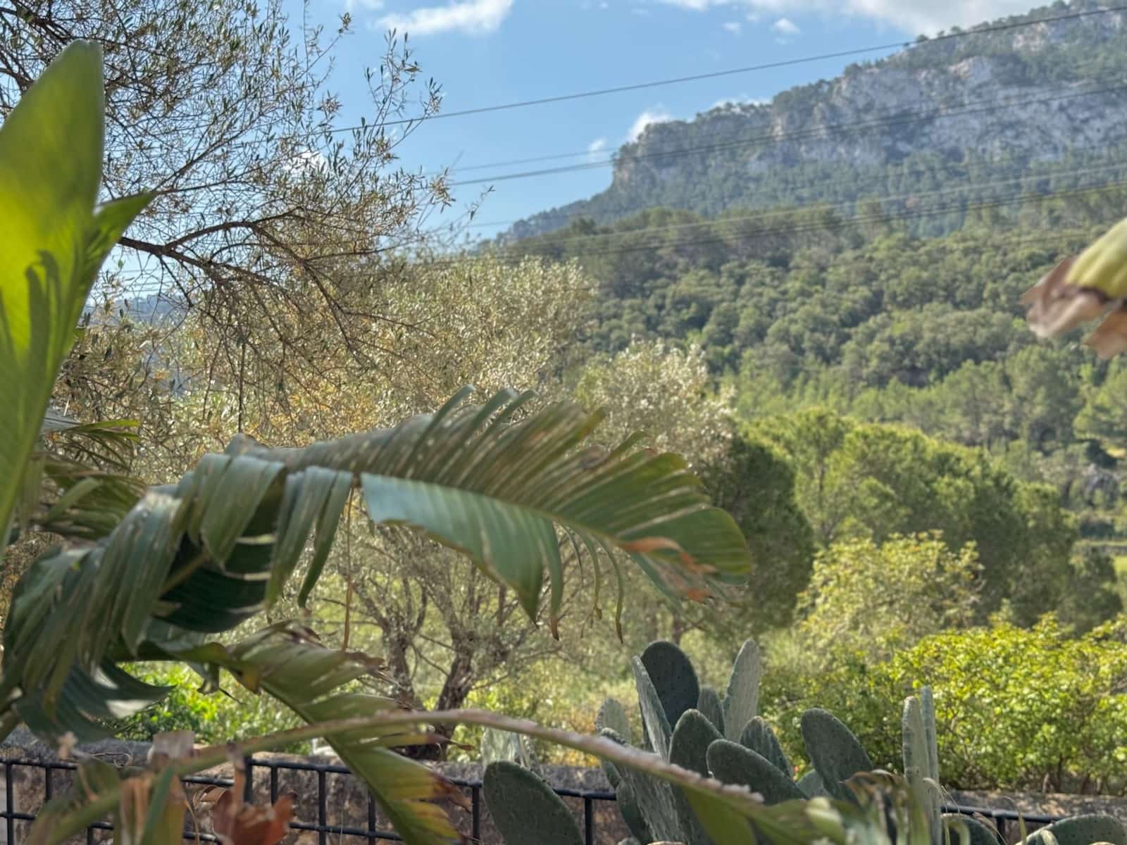 3 soveværelse Villa til salg i Puigpunyent med swimmingpool garage - € 1.850.000 (Ref: 8993576)