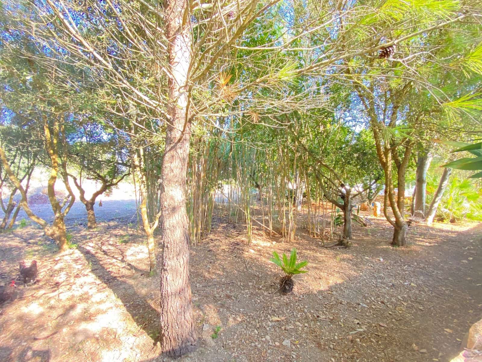 7 slaapkamer Villa te koop in Costitx met garage - € 600.000 (Ref: 9034252)