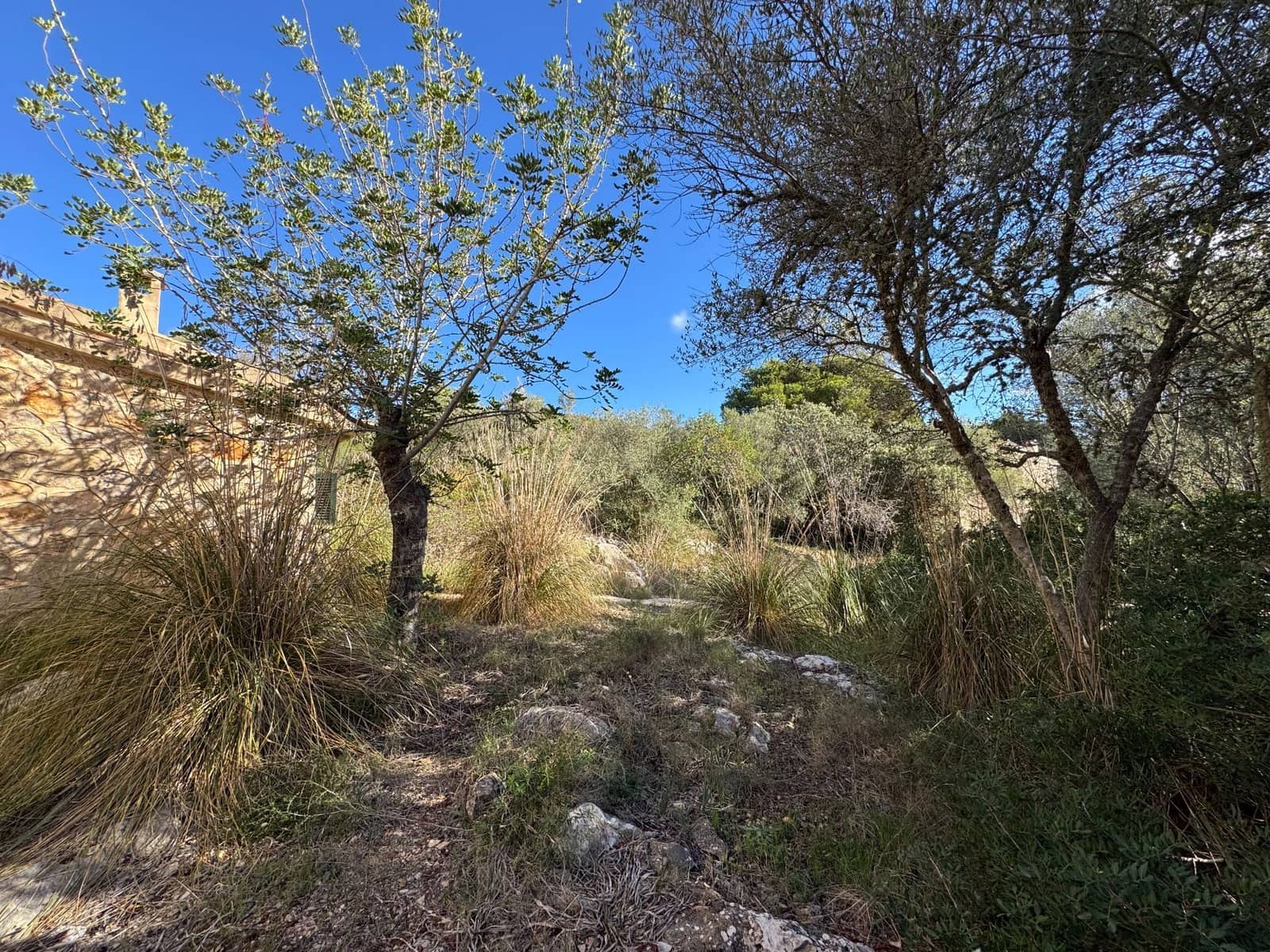 3 soverom Finca/Herregård til salgs i Esporles med svømmebasseng garasje - € 1 800 000 (Ref: 9330169)