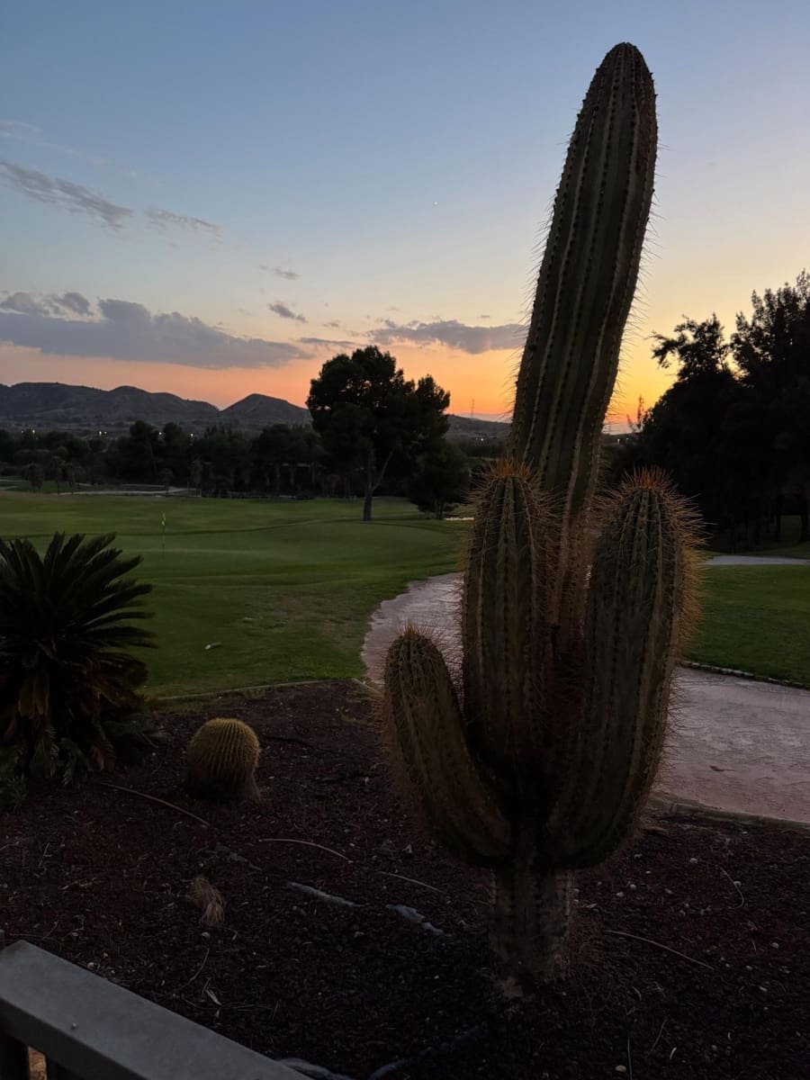 3 Zimmer Villa zu verkaufen in Monforte del Cid mit Pool - 768.000 € (Ref: 8828646)