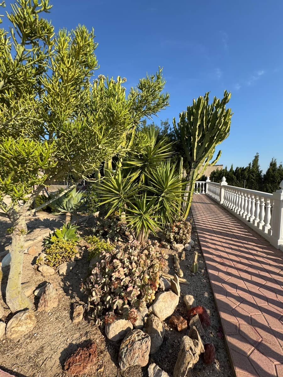 4 bedroom Villa for sale in Albatera with pool - € 385,000 (Ref: 9107128)