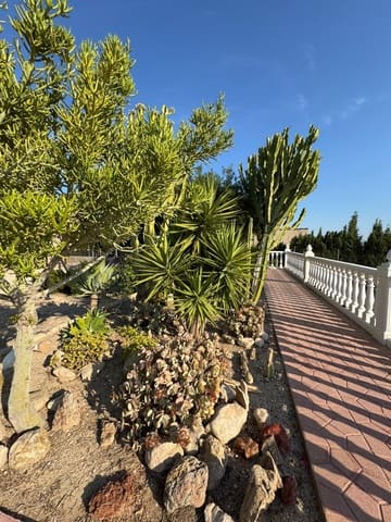 4 camera da letto Villa in vendita in Albatera con piscina - 358.000 € (Rif: 9107128)