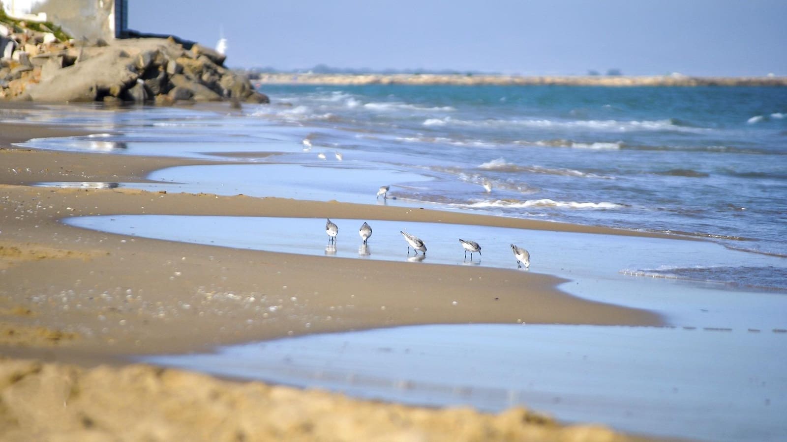 4 sypialnia Willa na sprzedaż w Dona Pepa z garażem - 736 500 € (Ref: 9644980)