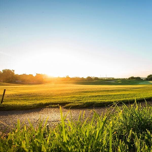 Tomt till salu i Monforte del Cid - 140 000 € (Ref: 9770615)