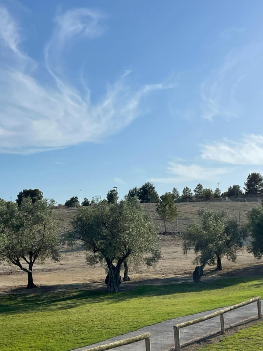 Tomt till salu i Monforte del Cid - 140 000 € (Ref: 9770615)