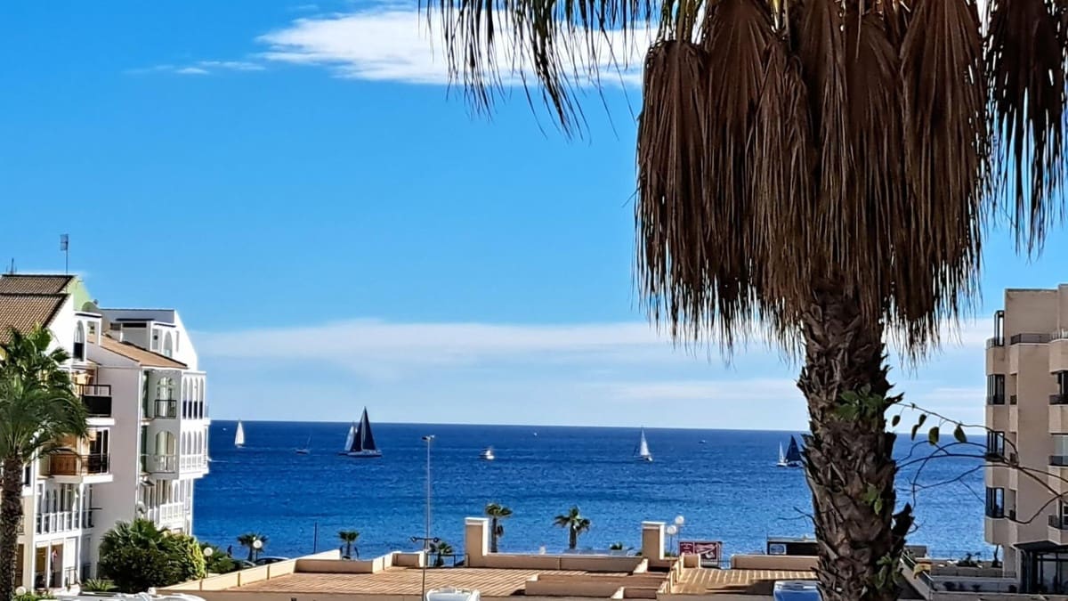 1 Zimmer Apartment zu verkaufen in Torrevieja - 145.000 € (Ref: 10005986)