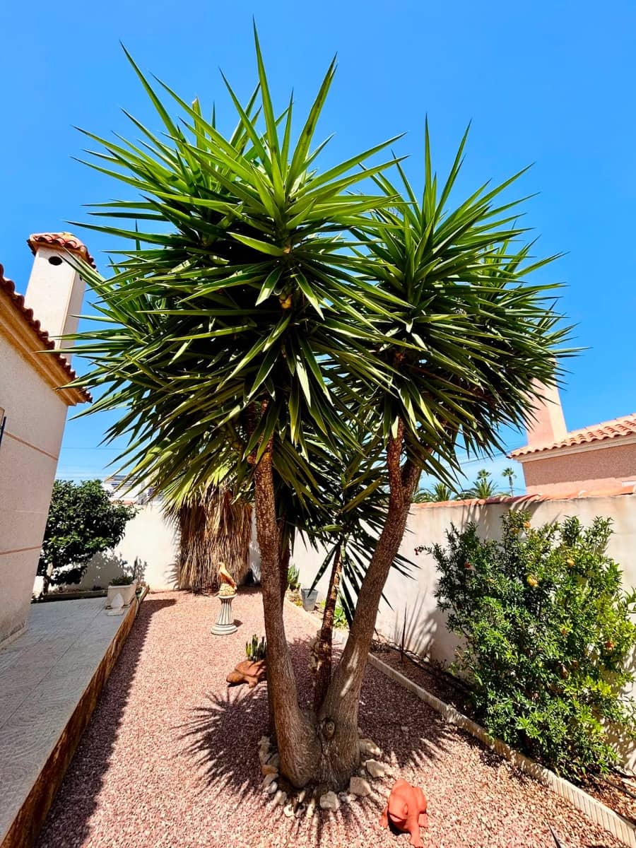 3 Zimmer Villa zu verkaufen in Torrevieja mit Pool - 360.000 € (Ref: 10028959)