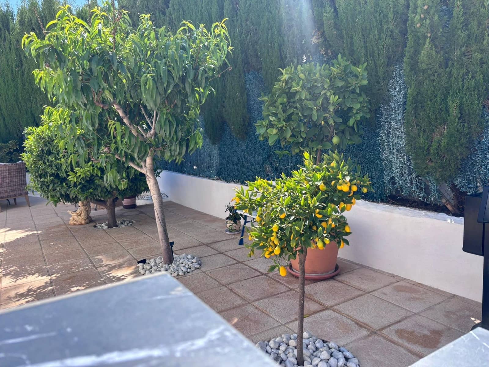 2 makuuhuone Paritalo myytävänä paikassa Torrevieja mukana uima-altaan 
autotalli - 420 000 € (Ref: 10038481)