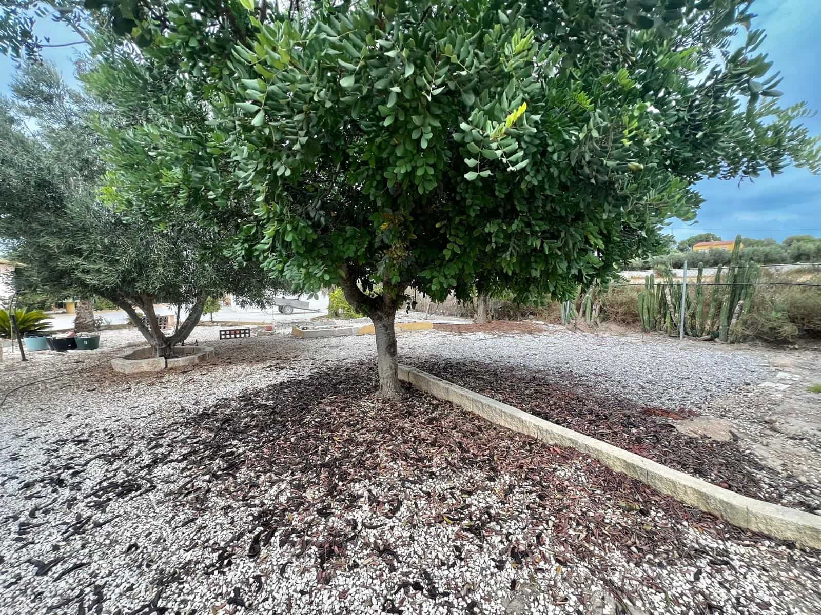 1 quarto Quinta/Casa Rural para venda em San Fulgencio com piscina garagem - 210 000 € (Ref: 10041469)