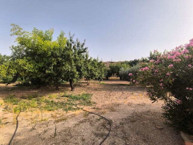 3 chambre Finca/Maison de Campagne à vendre à Pinoso avec garage - 189 000 € (Ref: 10062334)