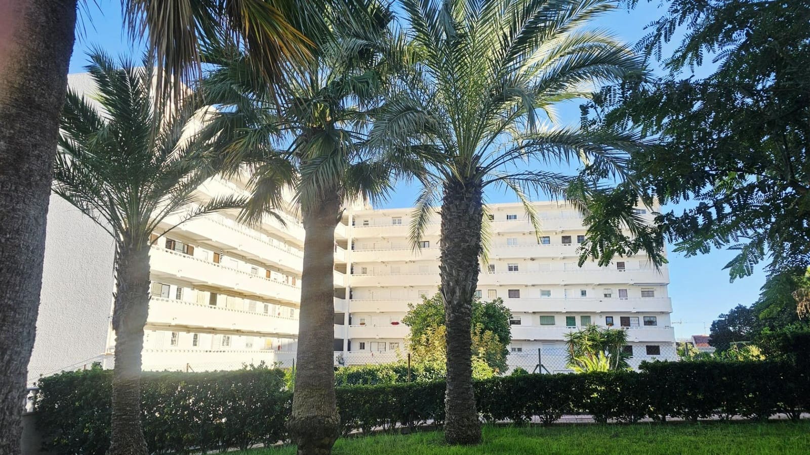Estúdio para venda em Torrevieja com piscina - 81 900 € (Ref: 10163174)