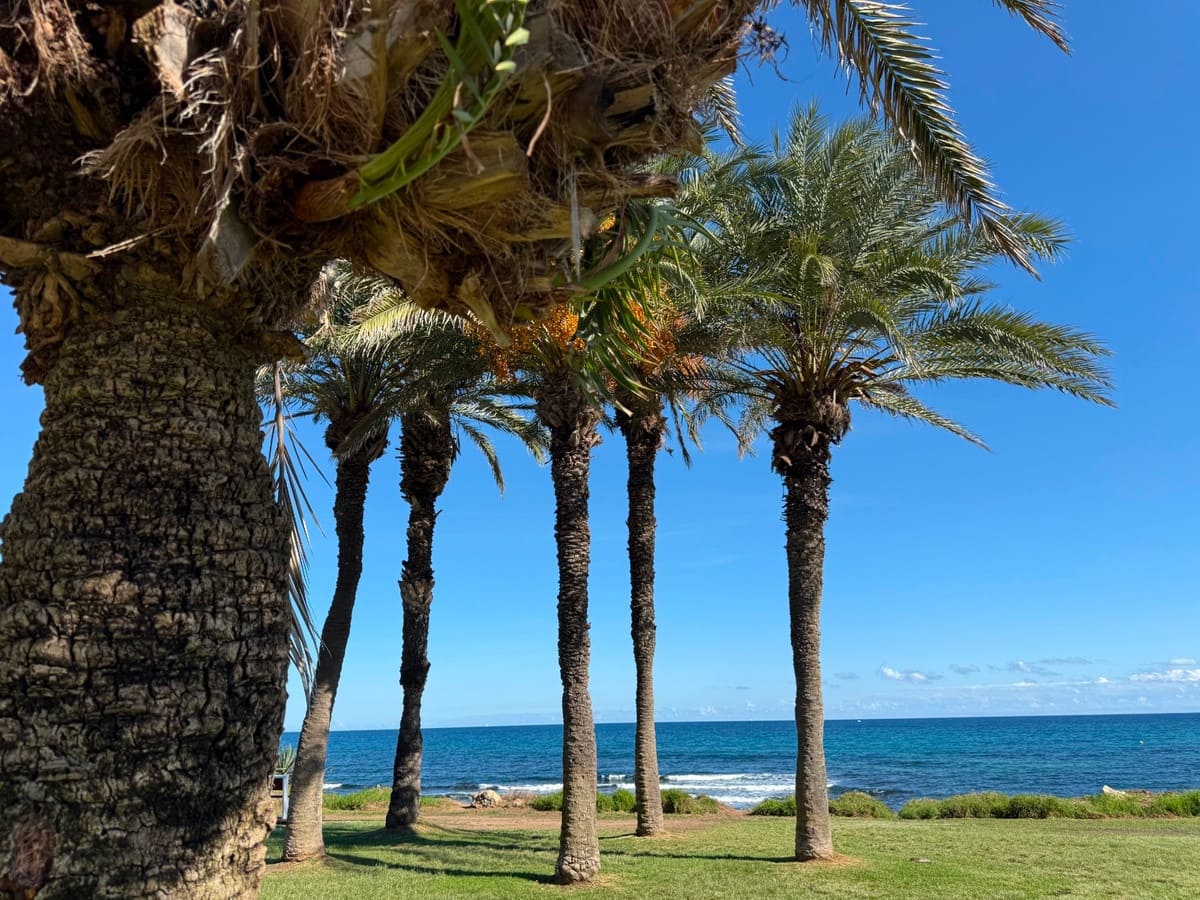 2 sypialnia Apartament na sprzedaż w Torrevieja - 149 000 € (Ref: 10172095)