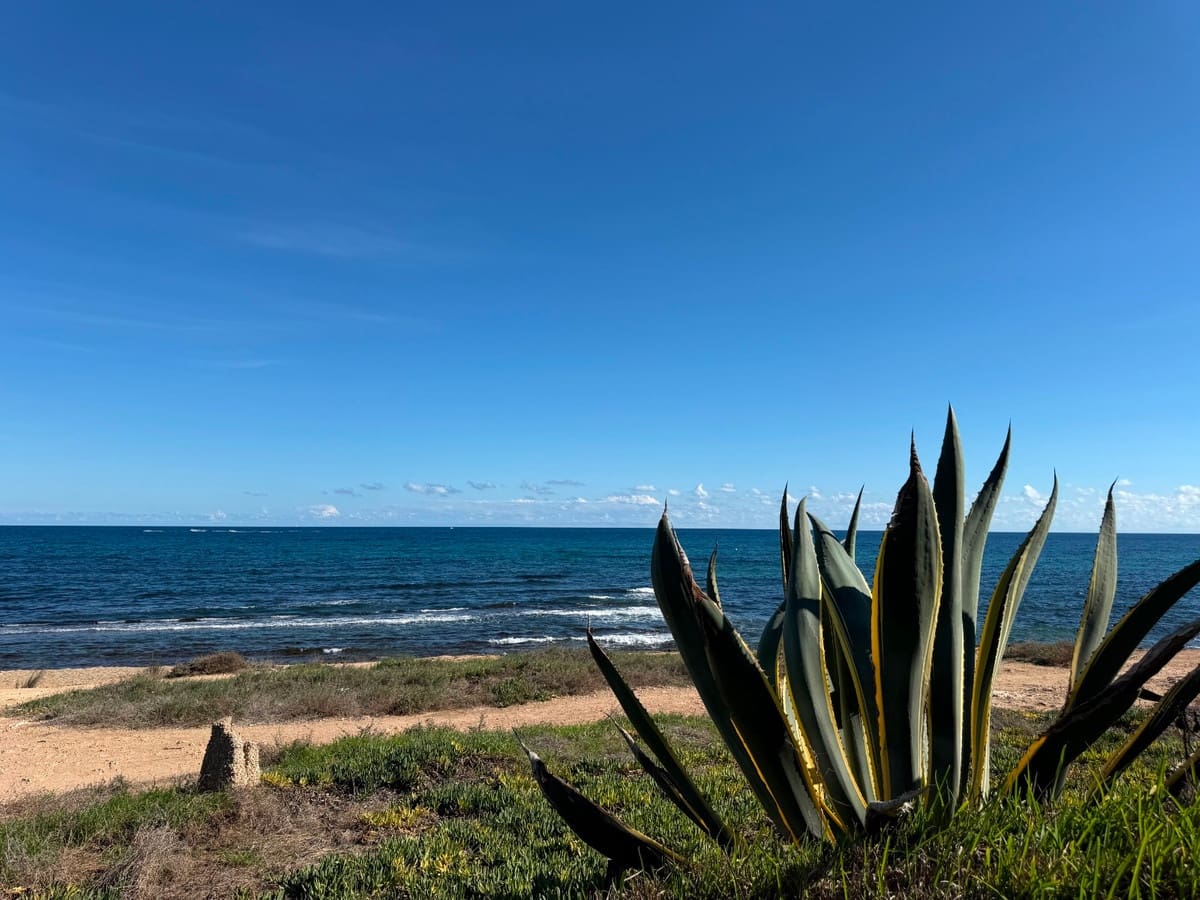 2 sypialnia Apartament na sprzedaż w Torrevieja - 149 000 € (Ref: 10172095)