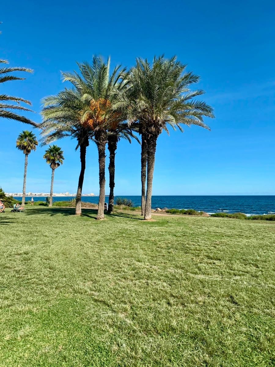2 sypialnia Apartament na sprzedaż w Torrevieja - 149 000 € (Ref: 10172095)