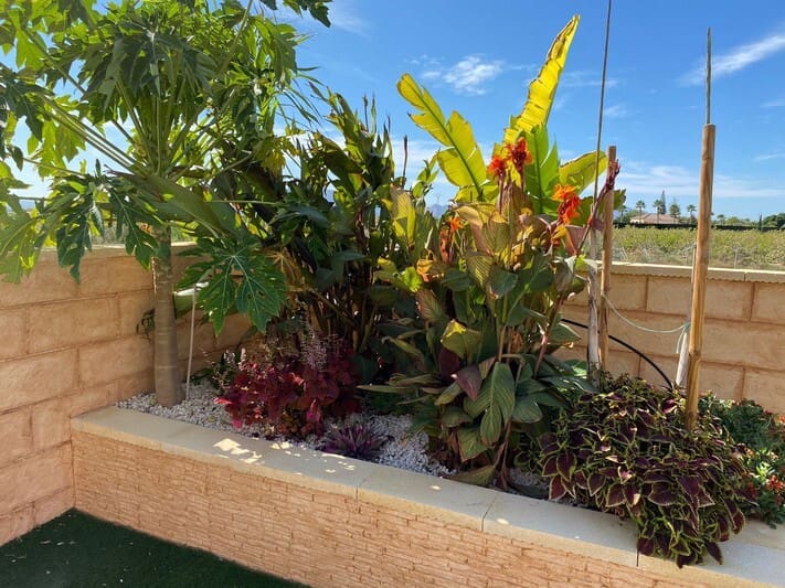 5 soveværelse Finca/Landehus til salg i Albatera - € 399.950 (Ref: 9008323)