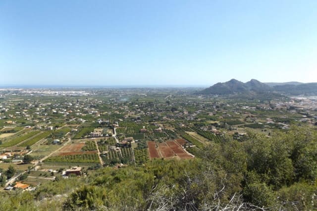 Tomt till salu i Pedreguer - 650 000 € (Ref: 9173106)