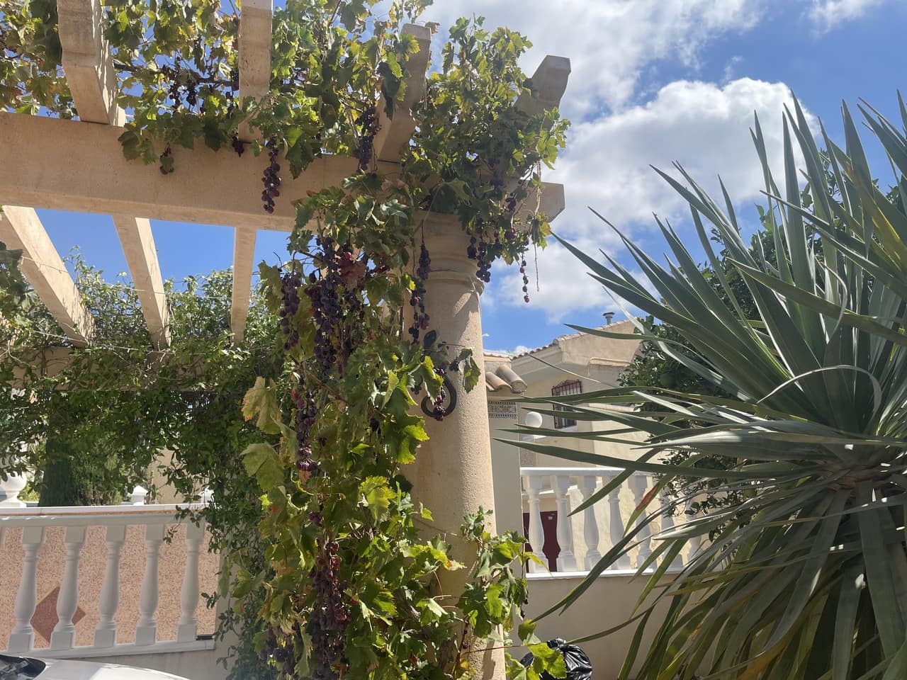 3 quarto Moradia para venda em Algorfa com piscina garagem - 250 000 € (Ref: 9256233)