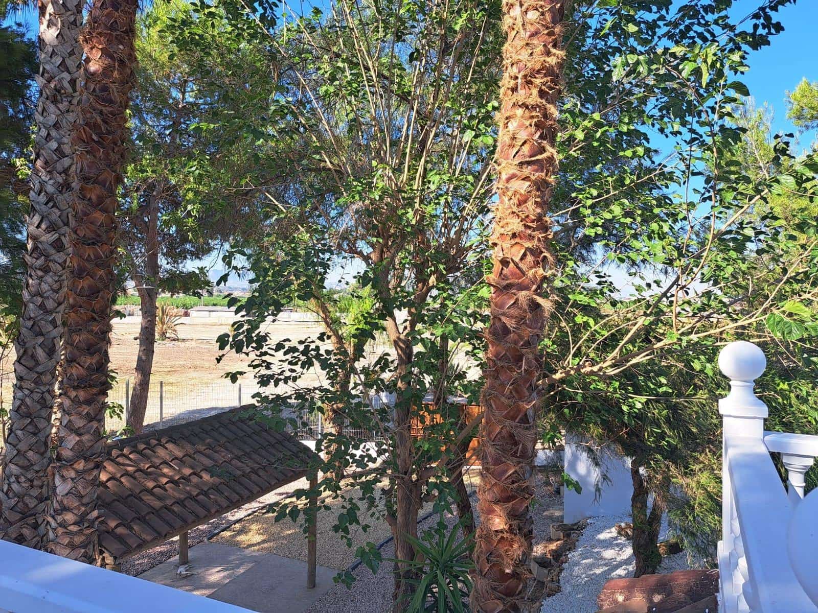 5 sypialnia Willa na sprzedaż w Orihuela - 370 000 € (Ref: 9383840)