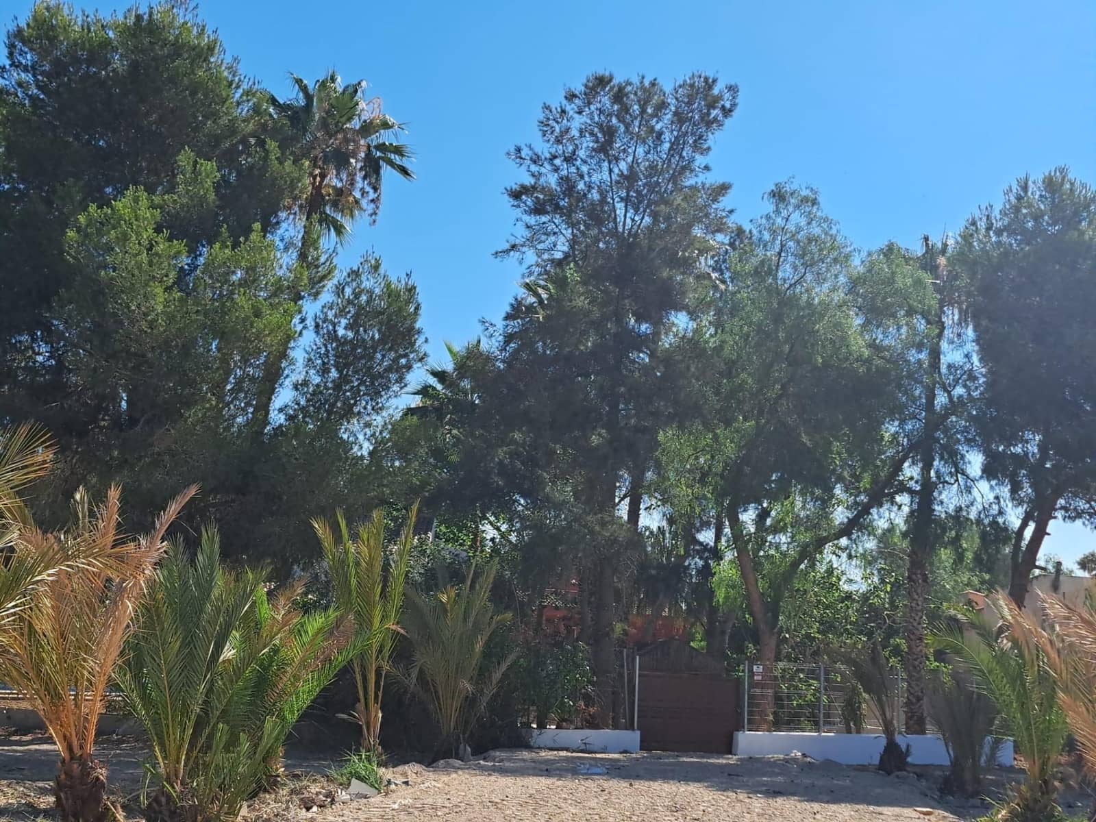 5 sypialnia Willa na sprzedaż w Orihuela - 370 000 € (Ref: 9383840)