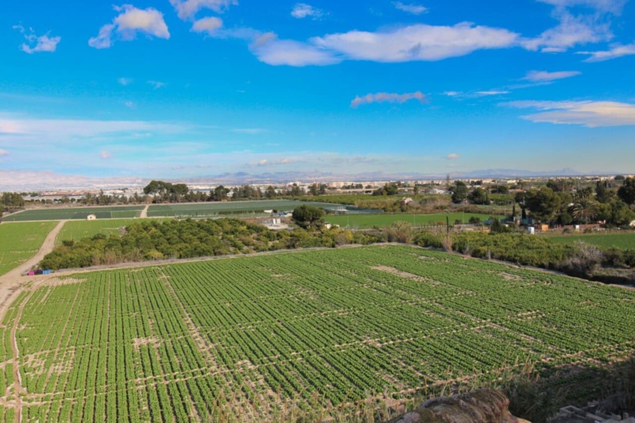 1 bedroom Apartment for sale in Algorfa with pool garage - € 75,000 (Ref: 9425287)