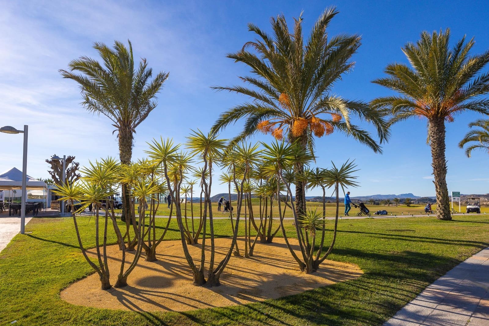 2 camera da letto Bungalow in vendita in Orihuela con piscina - 109.999 € (Rif: 9516163)