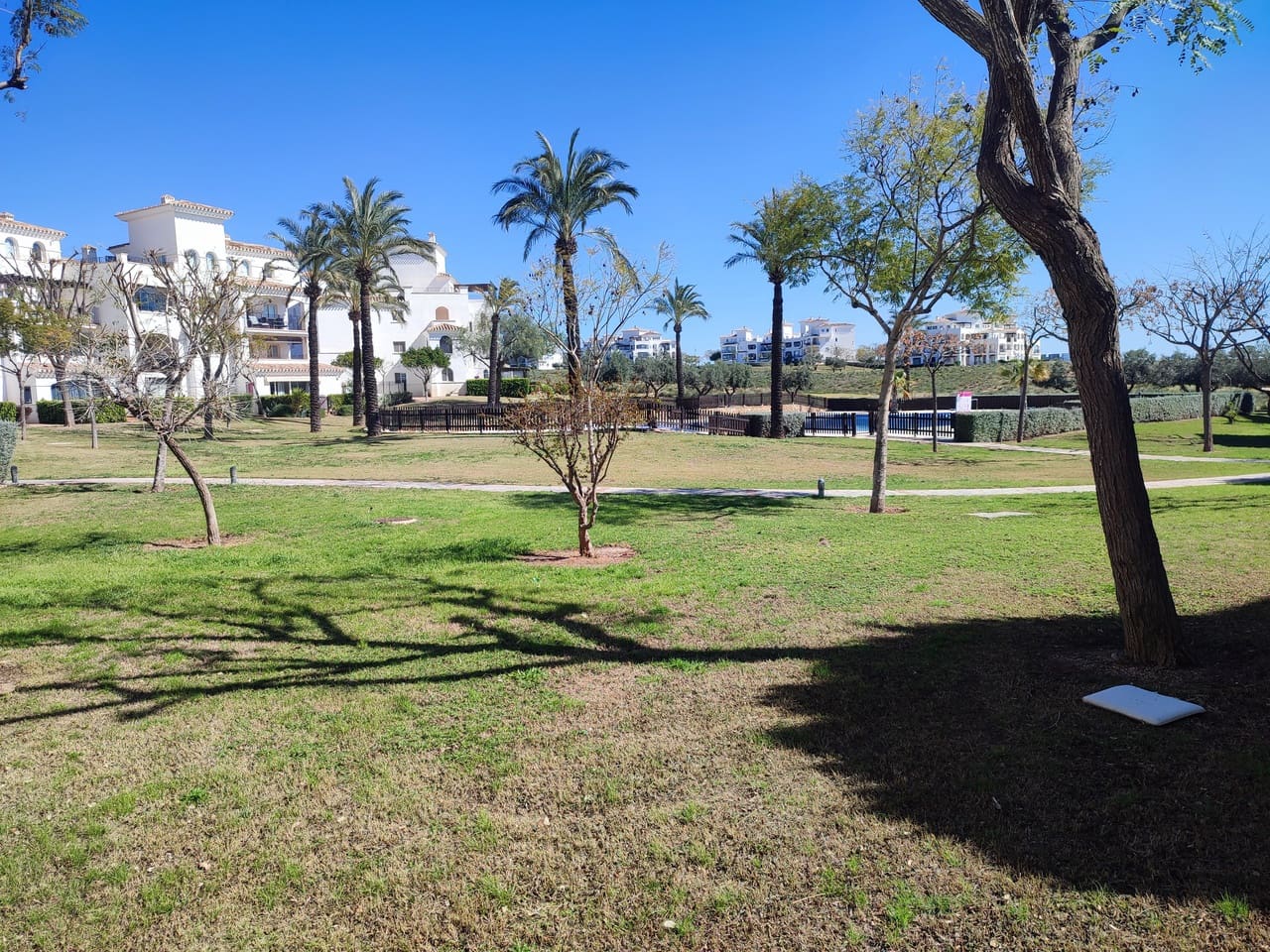 2 bedroom Apartment for sale in Hacienda Riquelme with pool - € 189,000 (Ref: 9685580)