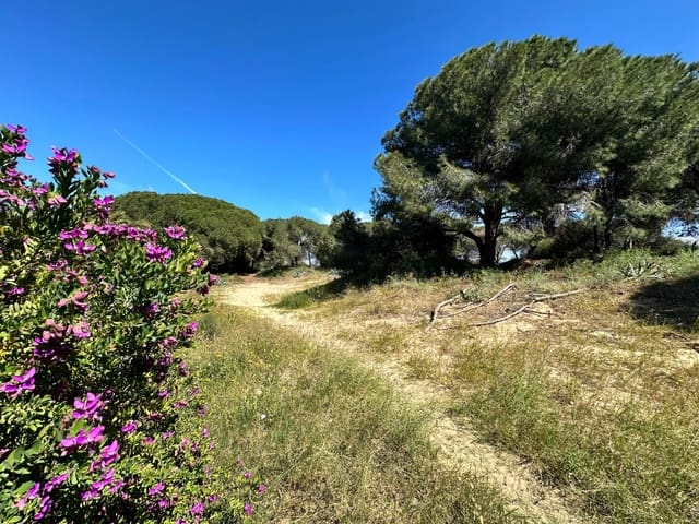 2 soverom Hus til salgs i El Moncayo - El Pòrtic, Guardamar del Segura - € 115 000 (Ref: 9791308)