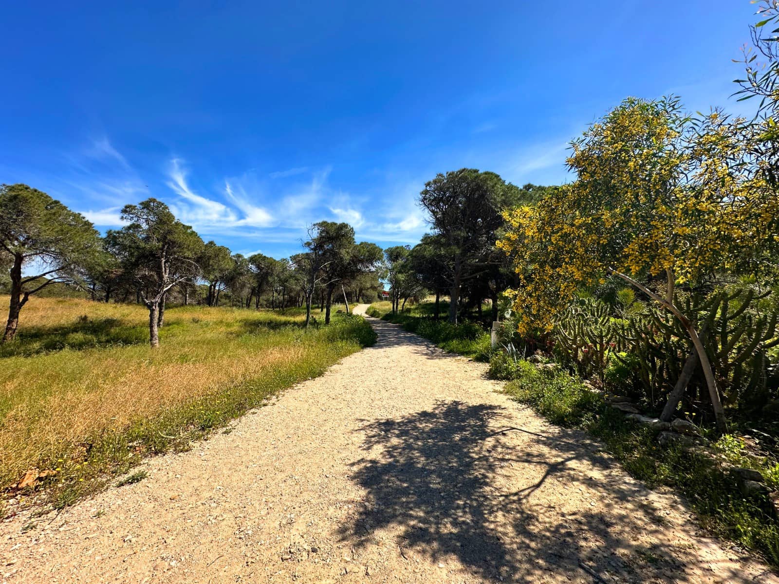 2 soverom Hus til salgs i Guardamar del Segura - € 115 000 (Ref: 9791308)