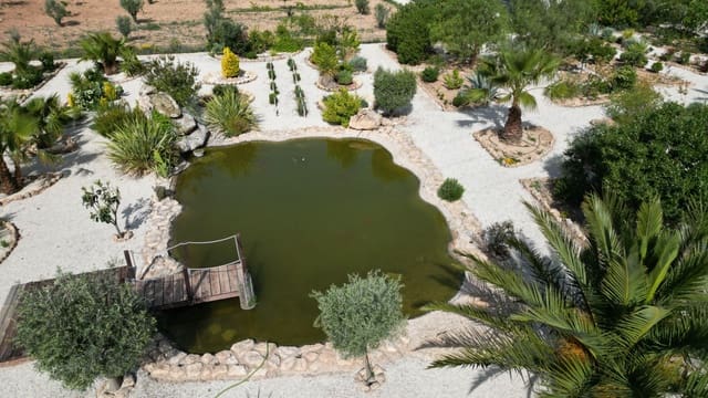 4 makuuhuone Huvila myytävänä paikassa Pinoso mukana uima-altaan 
autotalli - 649 950 € (Ref: 9799649)