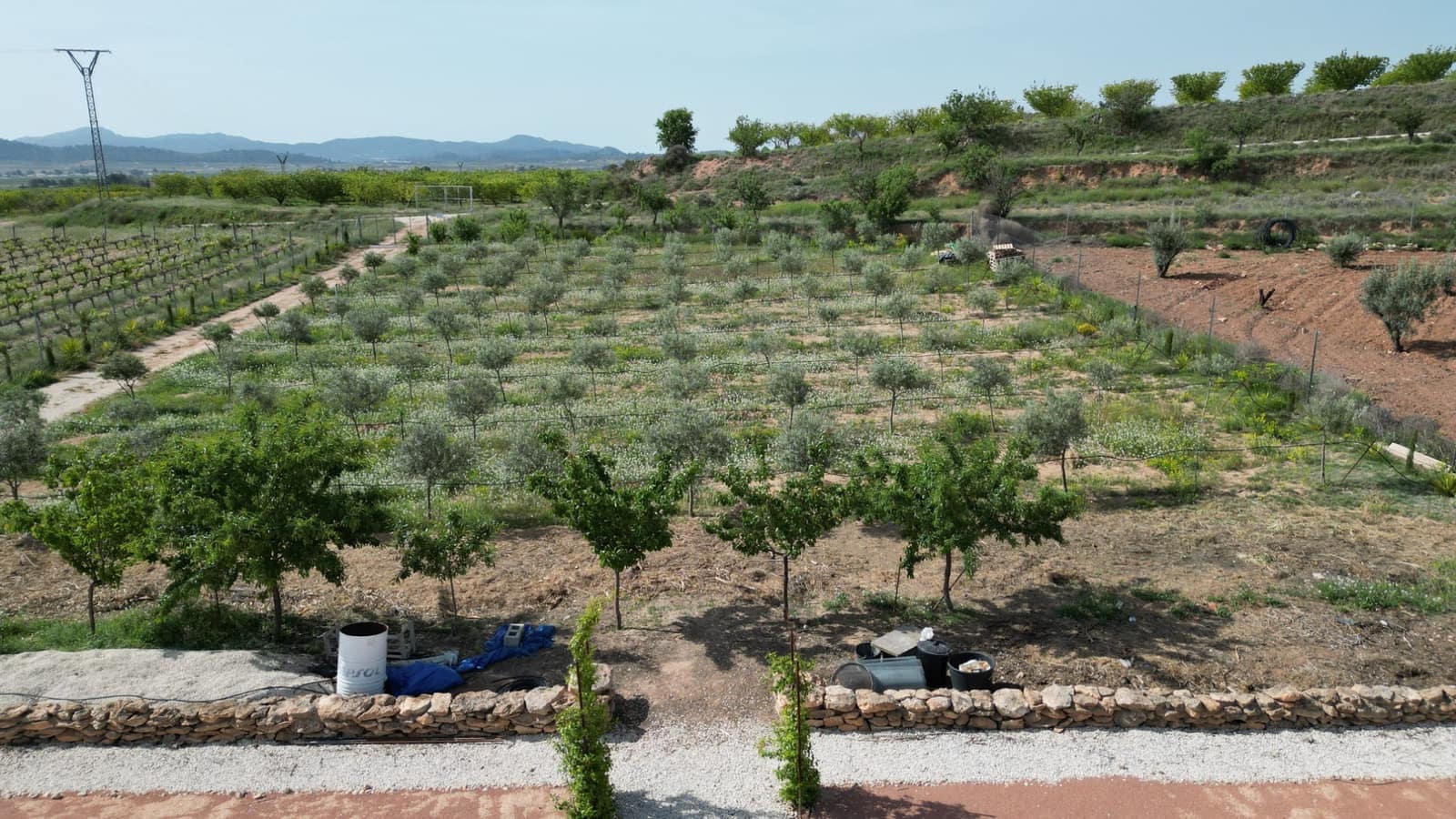 4 makuuhuone Huvila myytävänä paikassa Pinoso mukana uima-altaan 
autotalli - 649 950 € (Ref: 9799649)