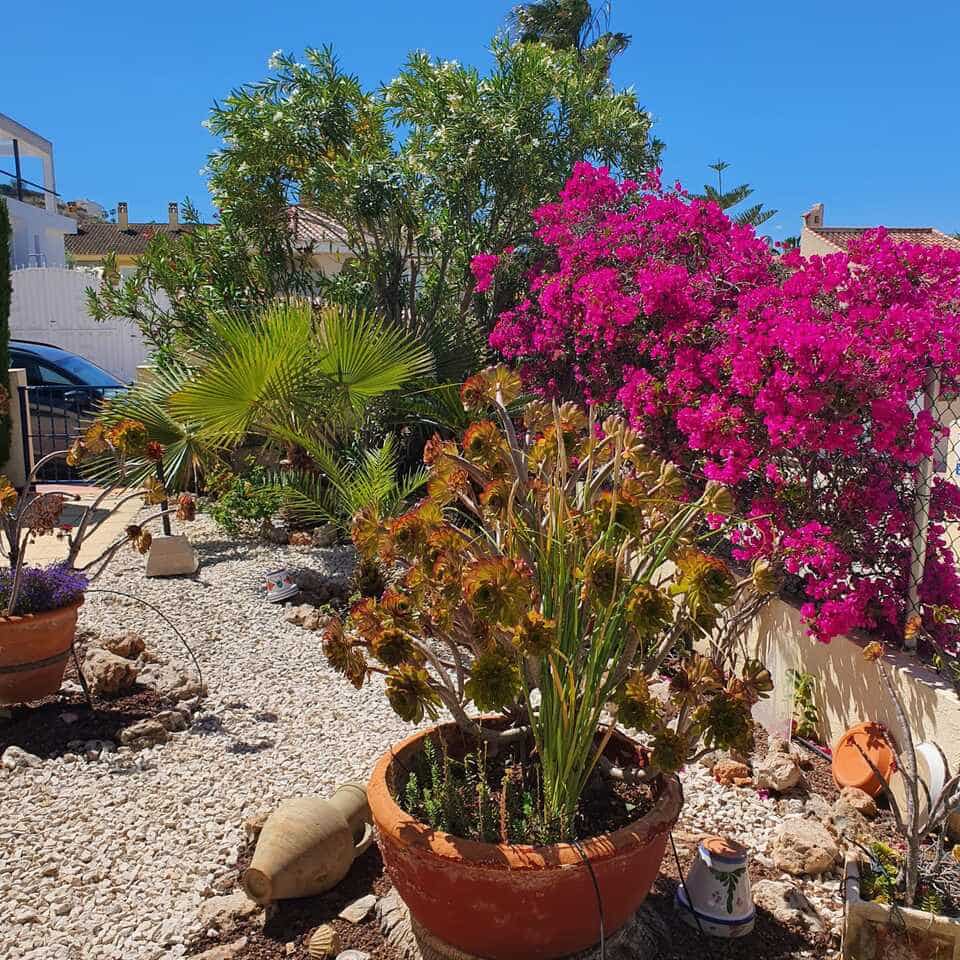 3 quarto Casa em Banda para venda em Benimar com piscina - 279 000 € (Ref: 9838665)