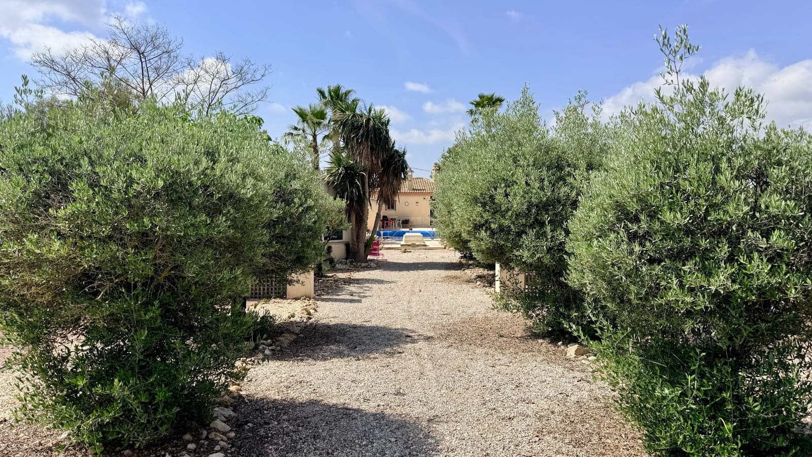 2 bedroom Villa for sale in Hondon de los Frailes with pool - € 299,950 (Ref: 9865442)