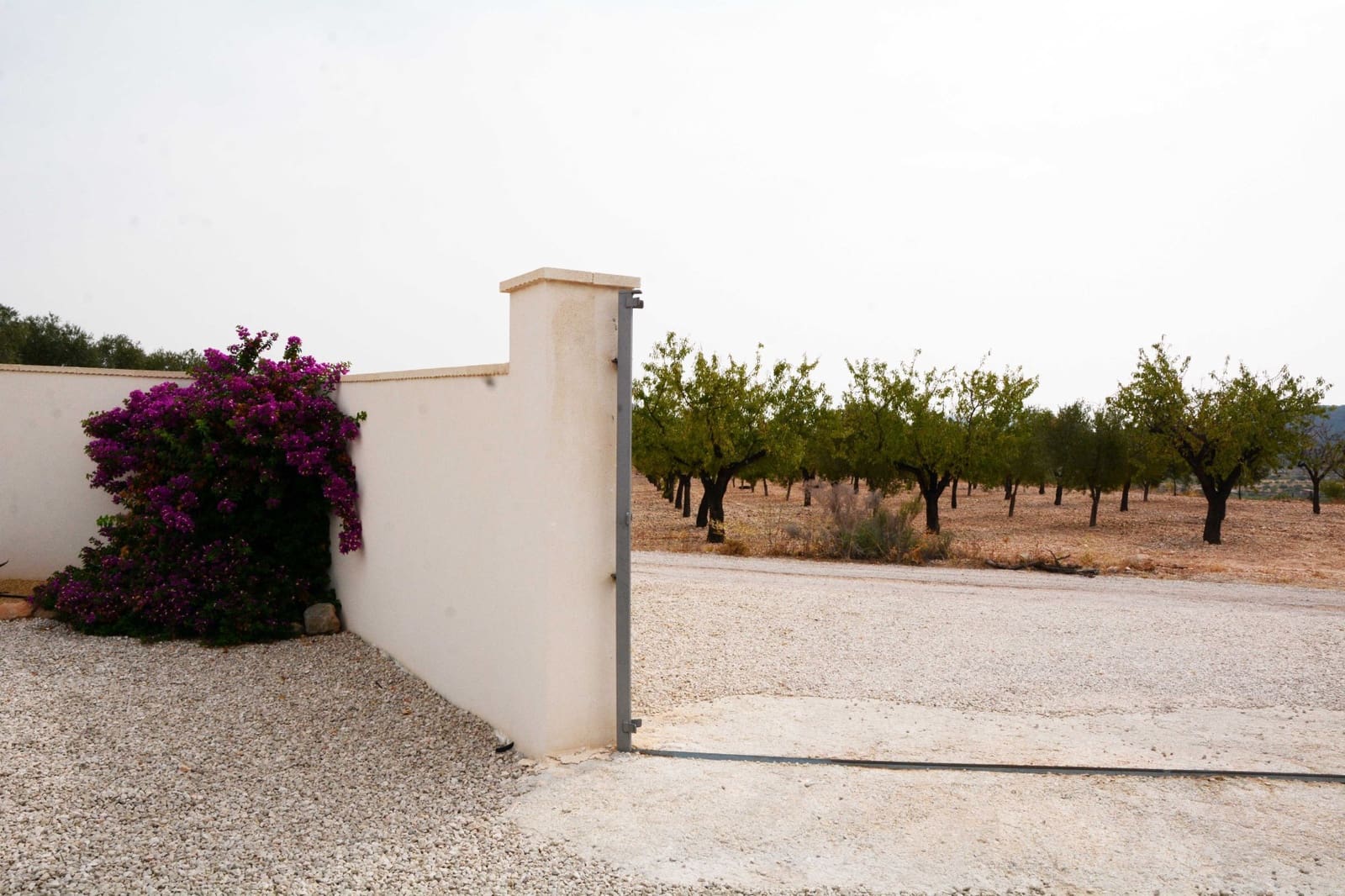 Finca/Casa Rural de 3 habitaciones en Macisvenda en venta - 357.000 € (Ref: 9879506)