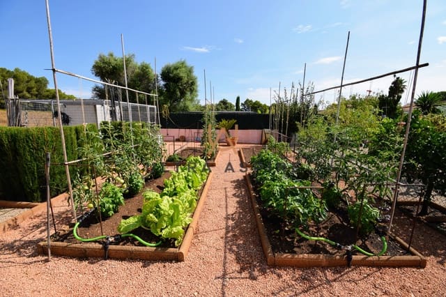 3 bedroom Villa for sale in Santa Margalida with pool garage - € 1,200,000 (Ref: 9727666)