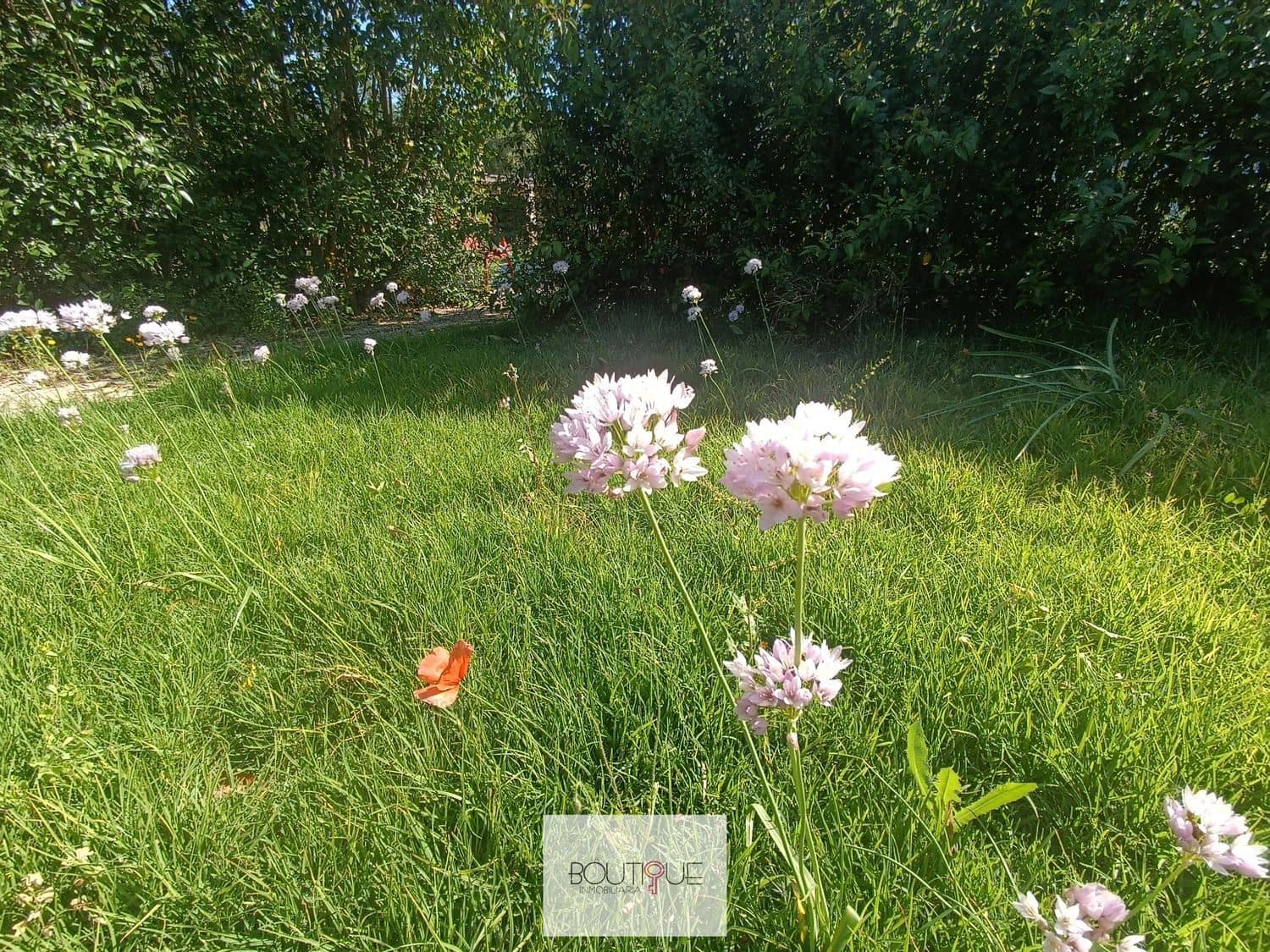 7 chambre Finca/Maison de Campagne à vendre à Sencelles avec piscine garage - 1 165 000 € (Ref: 8558724)