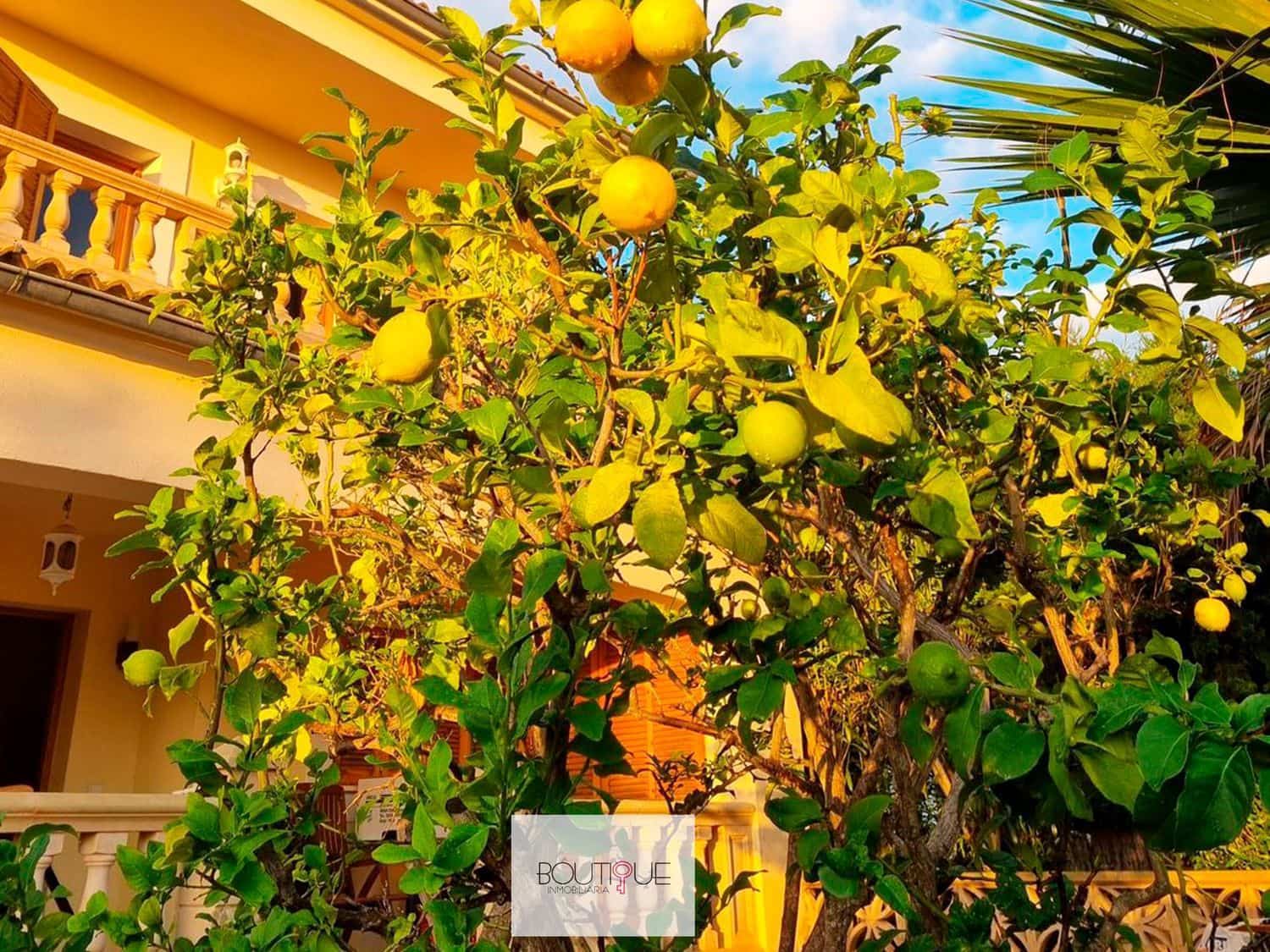 4 slaapkamer Huis te koop in Sa Torre (Llucmajor) met zwembad garage - € 899.000 (Ref: 8558740)