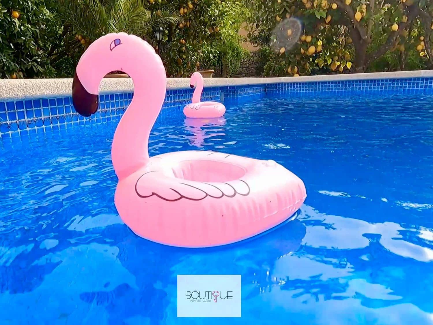 1 sypialnia Finka/Dom wiejski na sprzedaż w Soller z basenem - 1 500 000 € (Ref: 8934694)